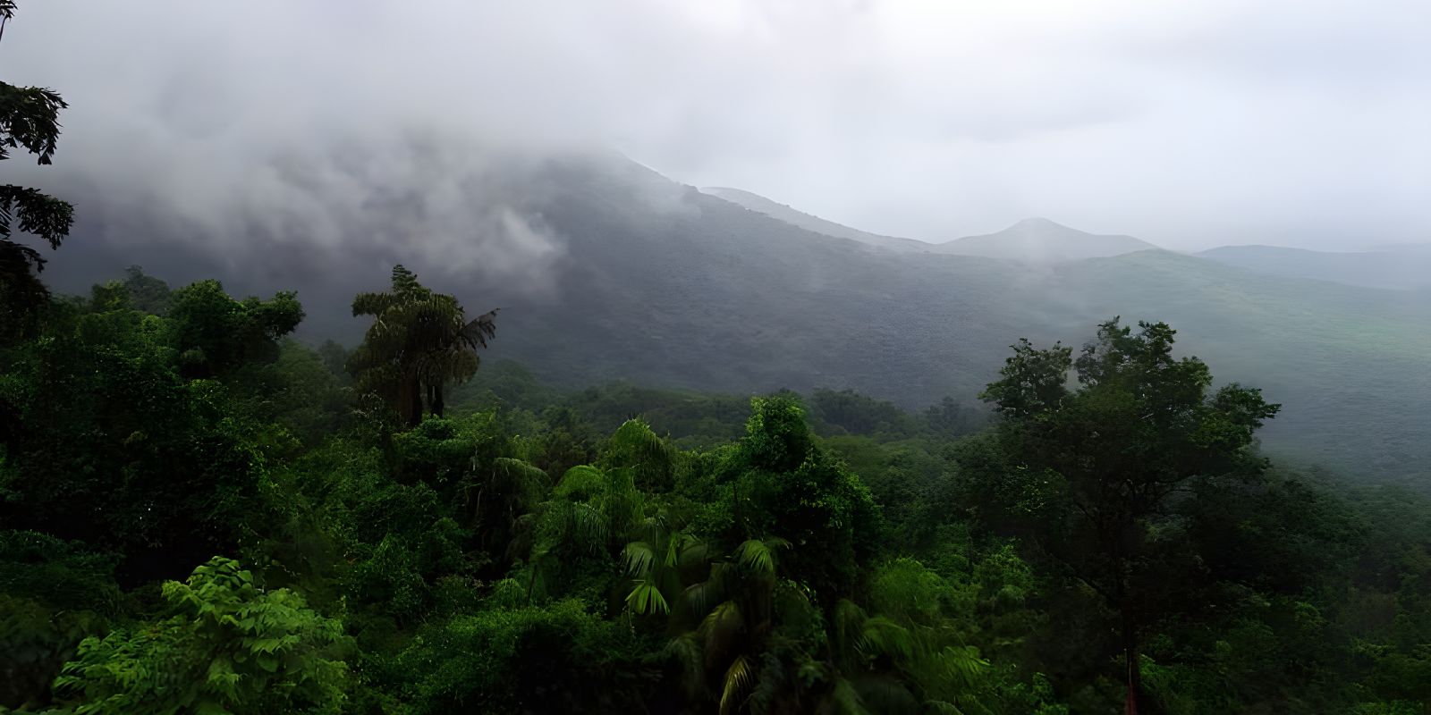 Jungle Safari at Bhagwan Mahavir (1).jpg